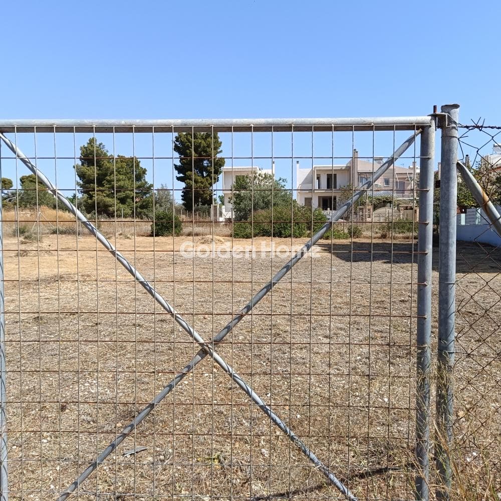 Οικόπεδο στην Άγιος Σεραφείμ, Αρτέμιδα (Λούτσα) — Φωτογραφία 1 από 2