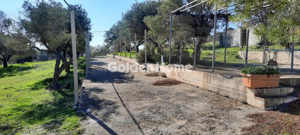 Οικόπεδο στην Αλυκές - Λάκκα, Ανάβυσσος — Φωτογραφία 1 από 3