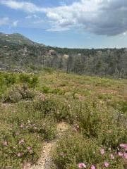 Building Plot in Avgi, Afidnes — Photo 1 of 3