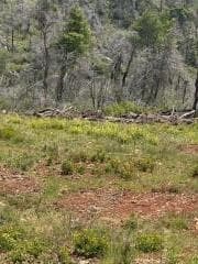 Building Plot in Avgi, Afidnes — Photo 2 of 3