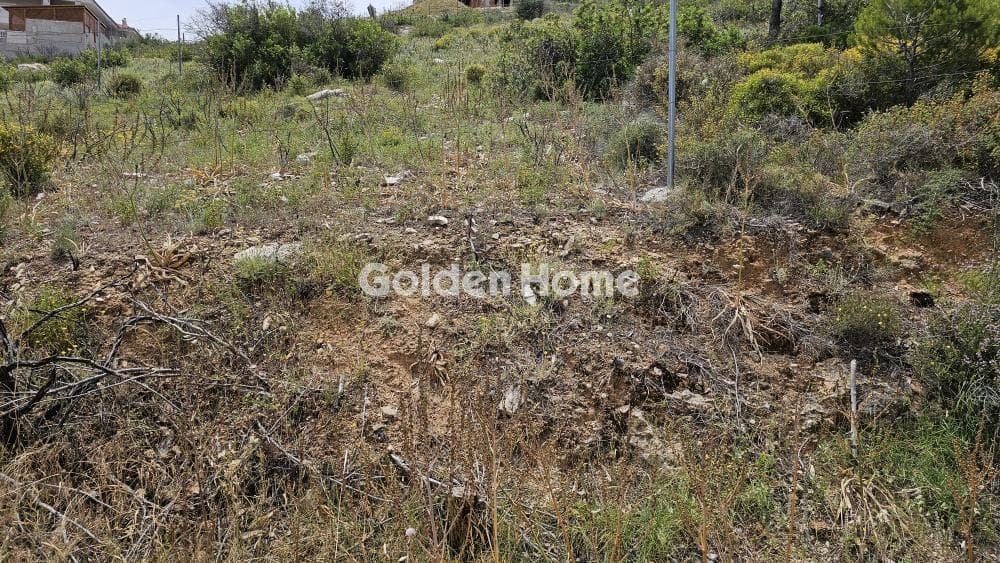Building Plot in Dioni, Pikermi