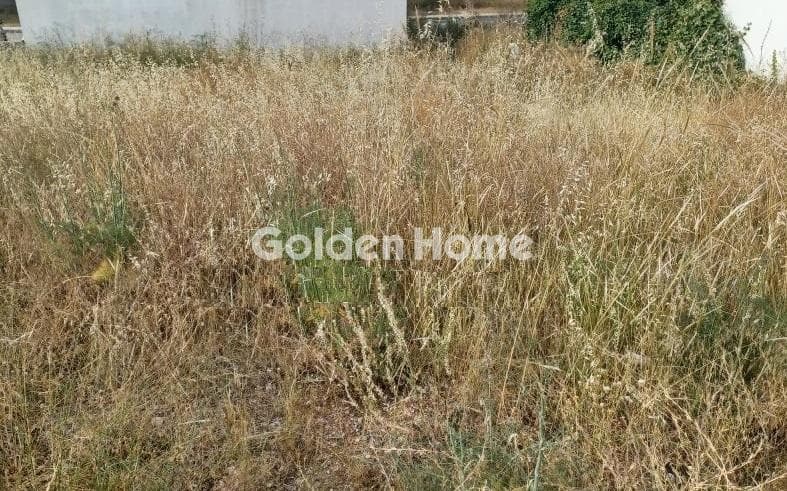 Building Plot in Megala Sxoinia A, Acharnes