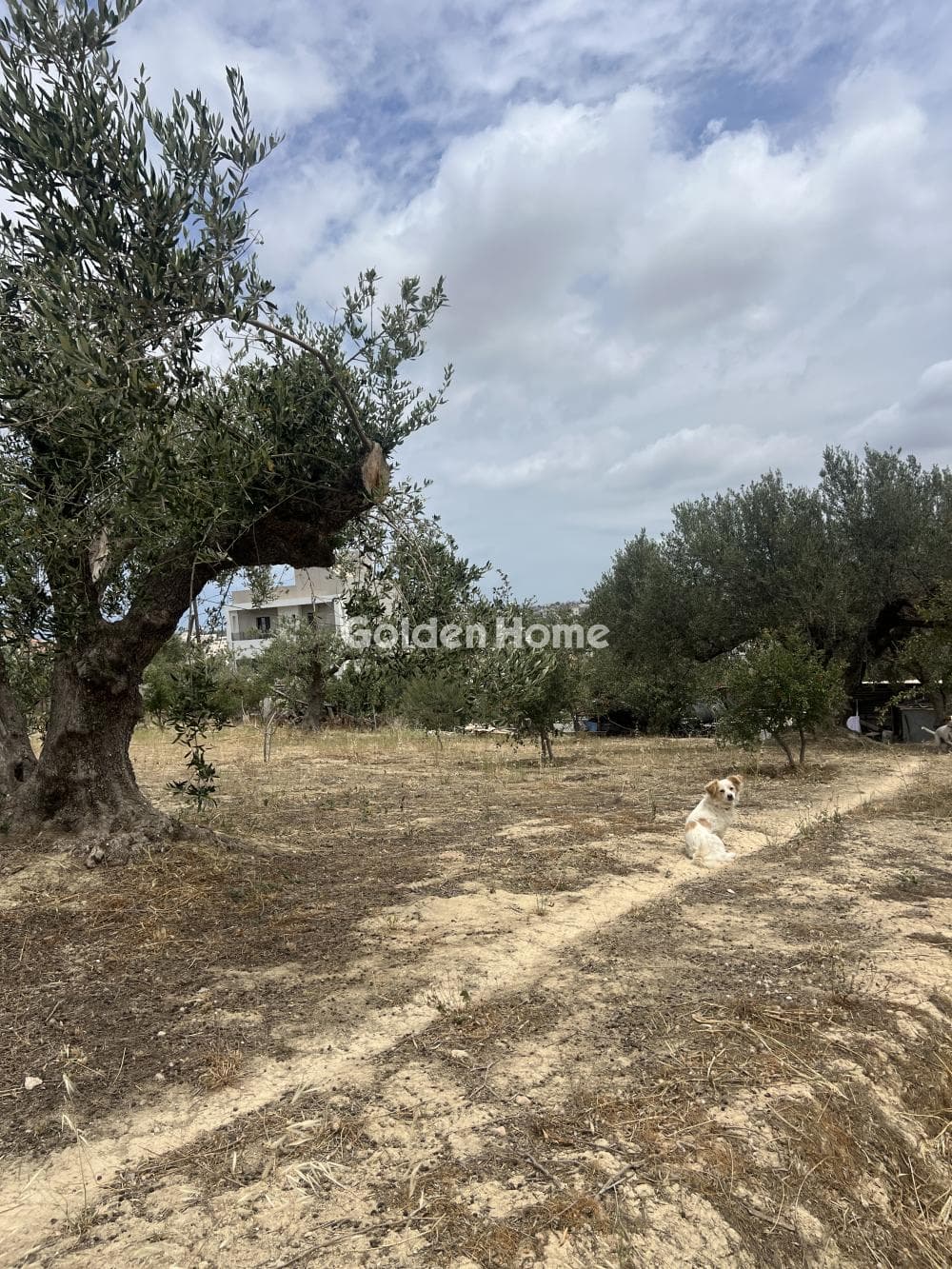 Building Plot in Agia Triada, Heraclion Cretes — Photo 3 of 3