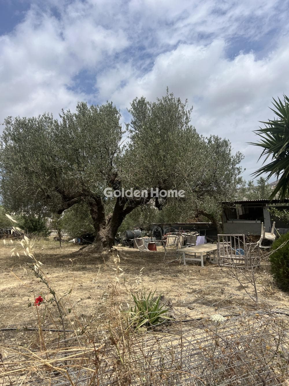 Building Plot in Agia Triada, Heraclion Cretes — Photo 2 of 3