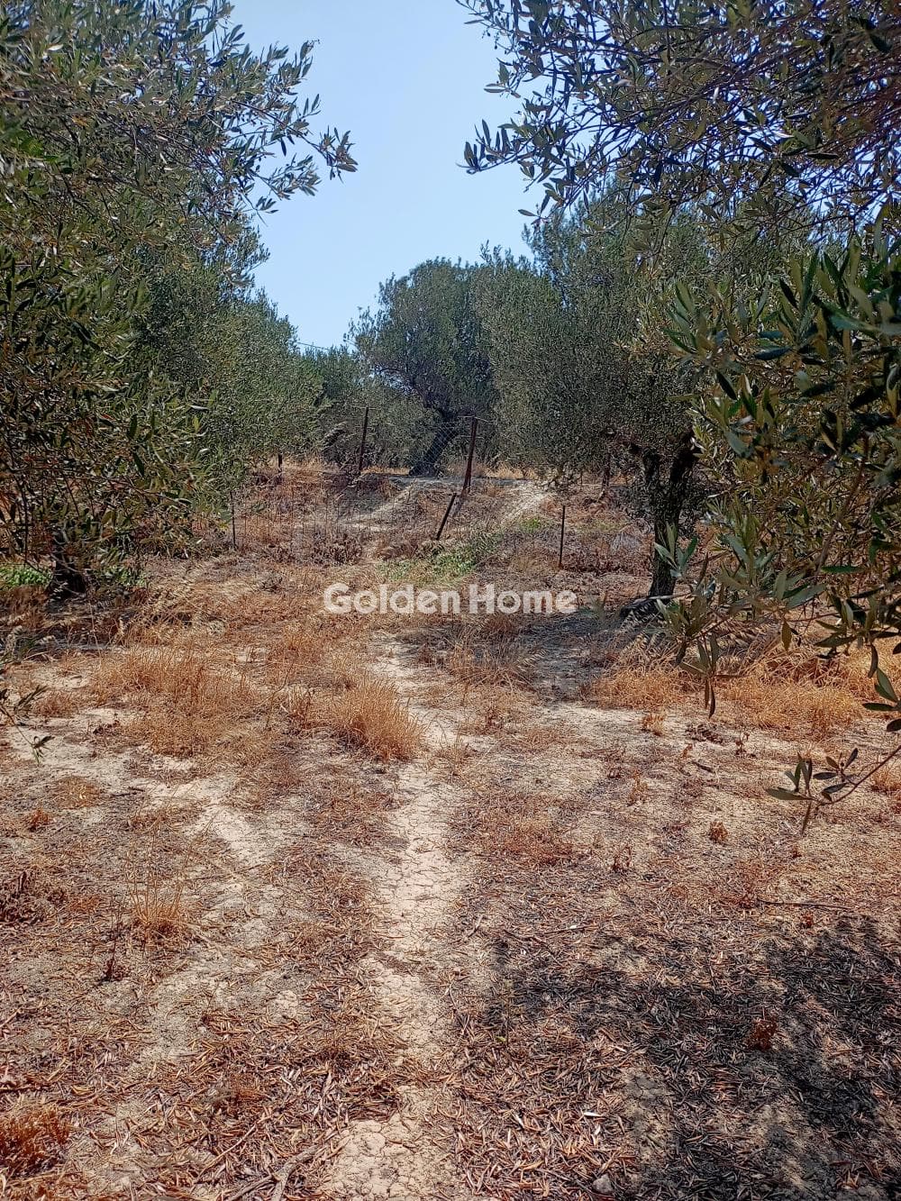 Building Plot in Kerasia, Tetrachori — Photo 5 of 6