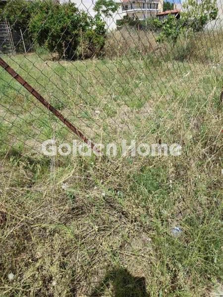 Building Plot in Megala Sxoinia A, Acharnes — Photo 2 of 4