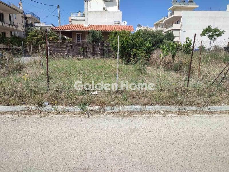 Building Plot in Megala Sxoinia A, Acharnes — Photo 4 of 4