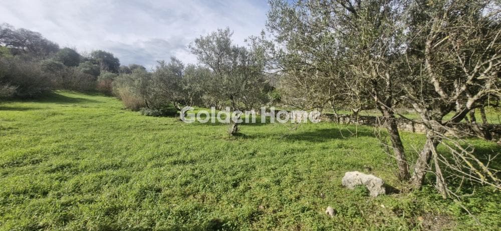 Αγροτεμάχιο στην Επάνω Αρχάνες, Αρχάνες — Φωτογραφία 1 από 6