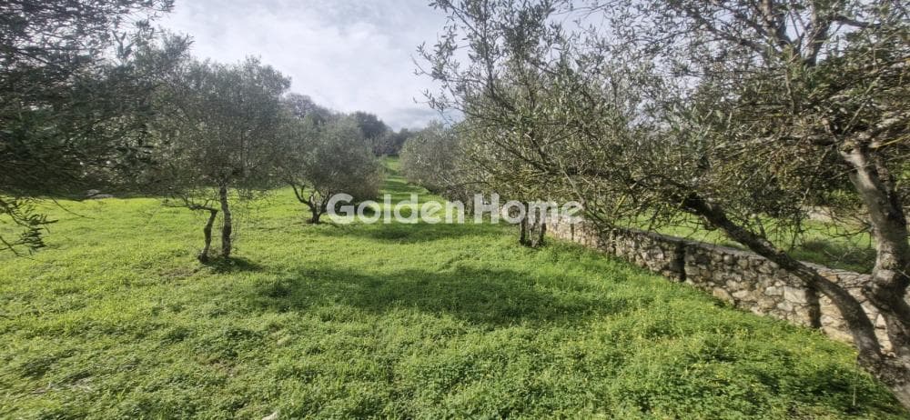 Αγροτεμάχιο στην Επάνω Αρχάνες, Αρχάνες — Φωτογραφία 5 από 6