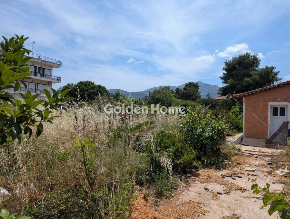 Οικόπεδο στην Άγιος Ανδρέας, Νέα Μάκρη — Φωτογραφία 3 από 9