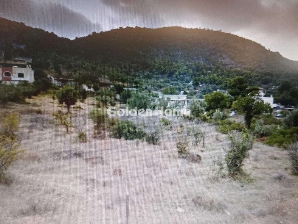 Building Plot in Megalo Ntoroto, Salamina — Photo 4 of 5