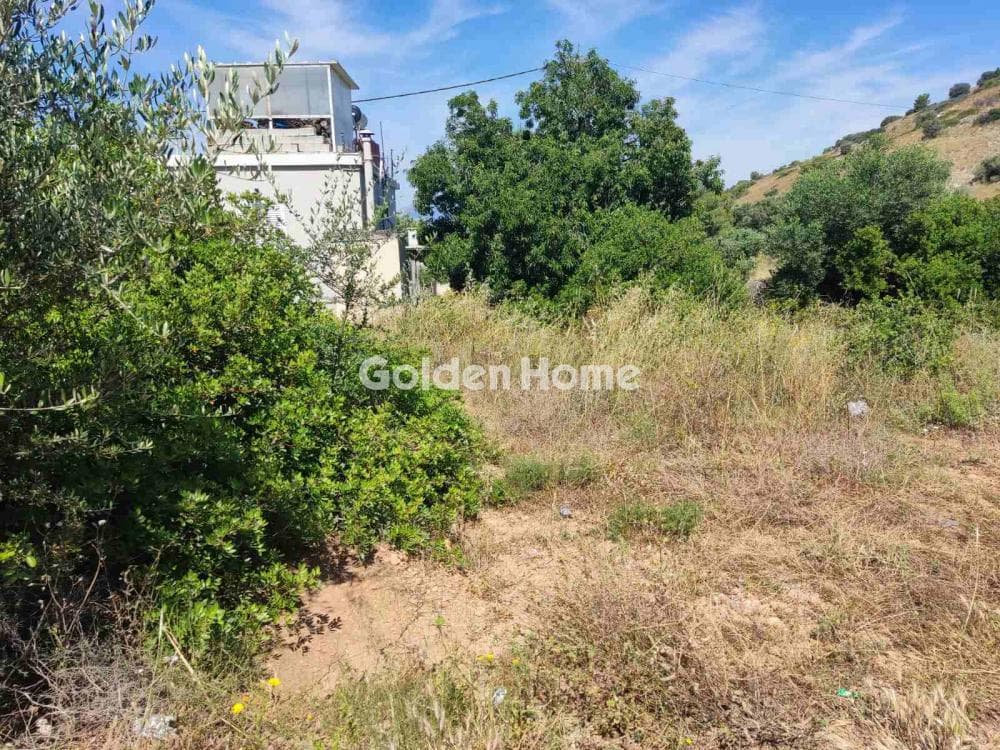 Building Plot in Kseno, Salamina — Photo 1 of 2
