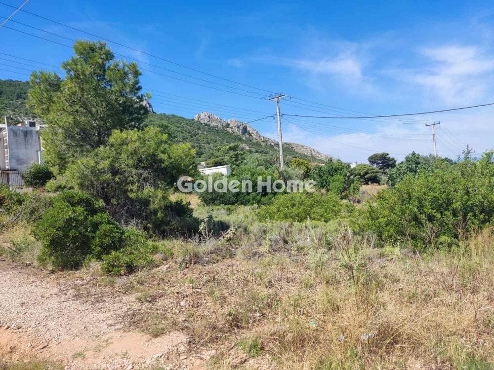 Building Plot in Kseno, Salamina — Photo 2 of 2