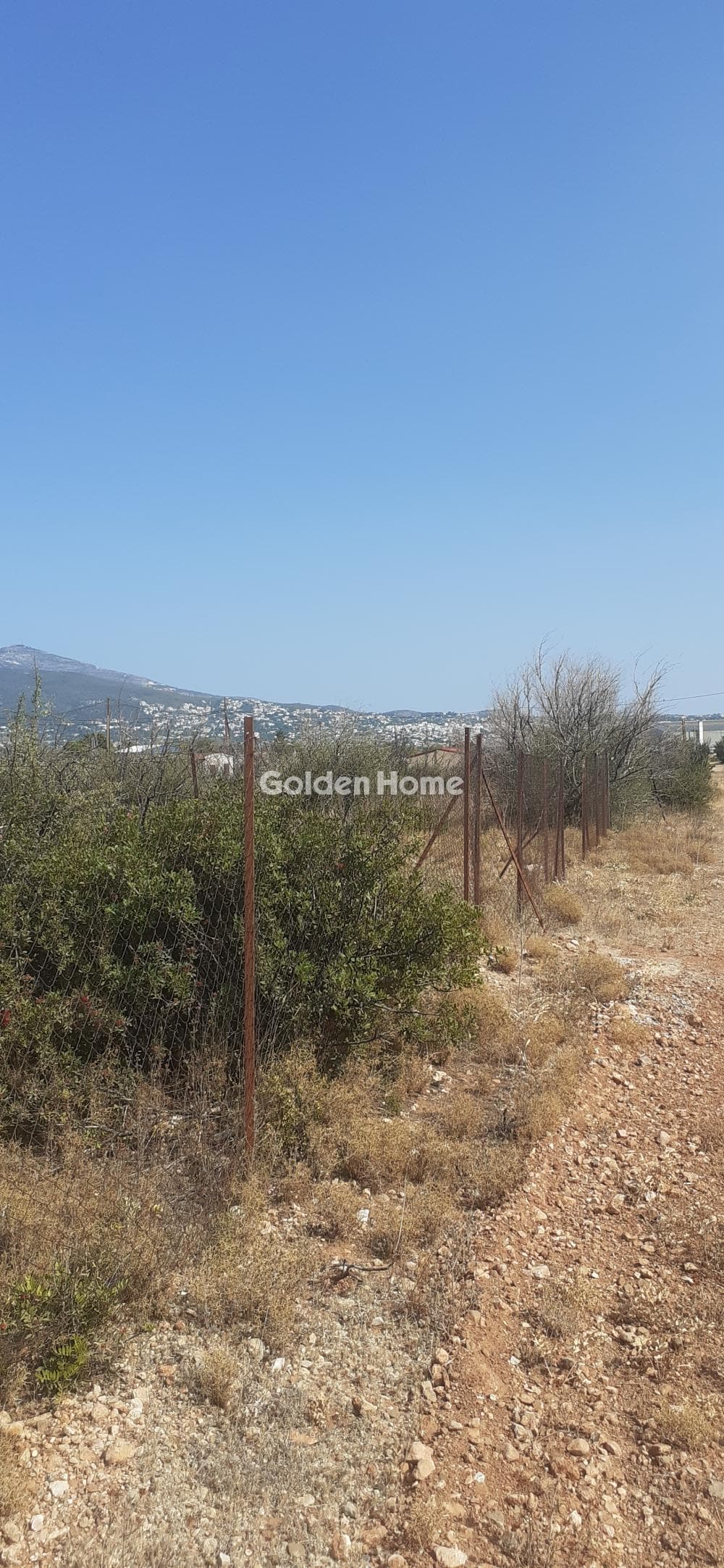 Αγροτεμάχιο στην Μεγάλα Σχοινία Α, Αχαρνές — Φωτογραφία 2 από 2