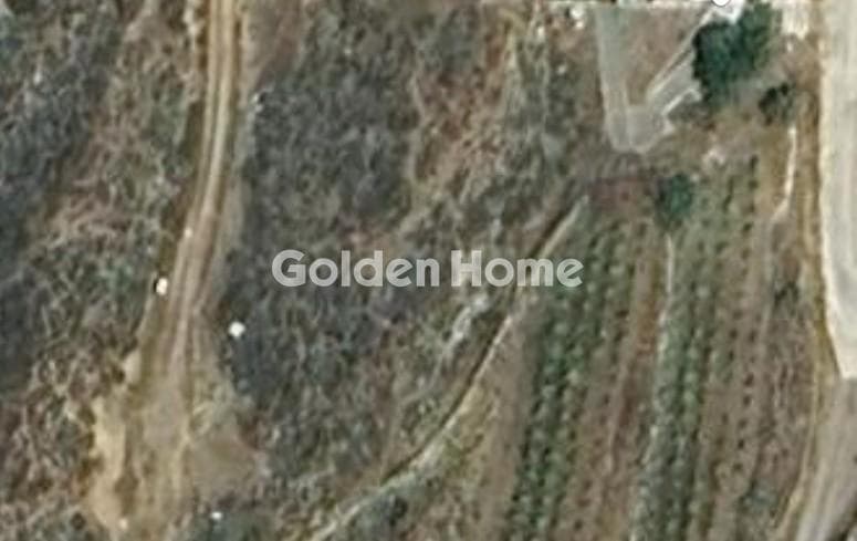 Building Plot in Melanes, Naxos — Photo 3 of 3