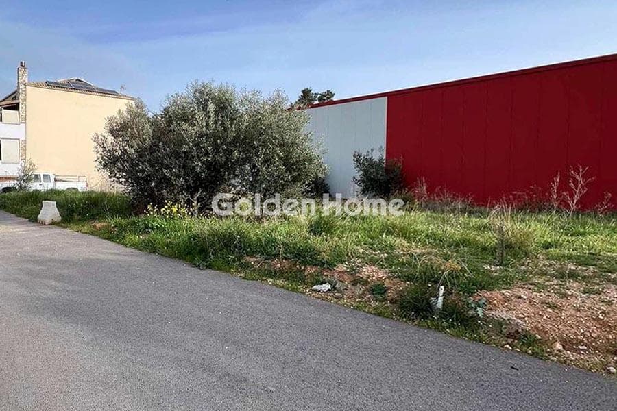 Building Plot in Megala Sxoinia A, Acharnes