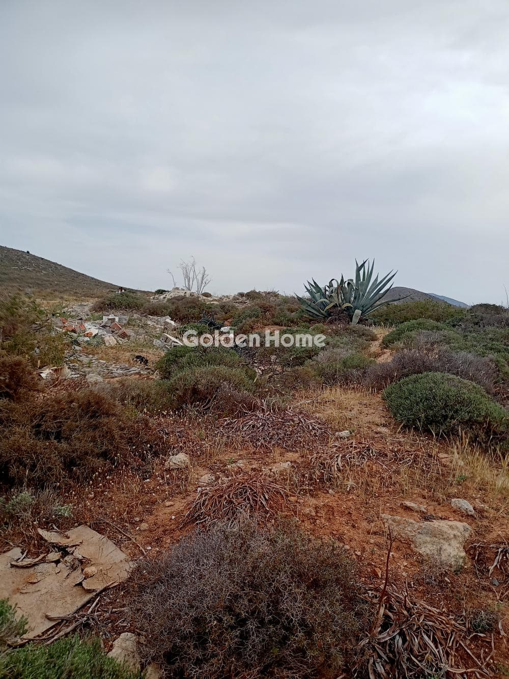 Building Plot in Elia, Episkopi — Photo 5 of 5