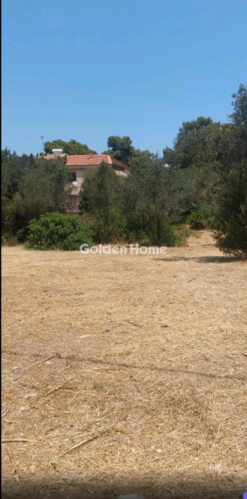 Αγροτεμάχιο στην Κάτω Ποσειδωνία, Λαύριο — Φωτογραφία 1 από 3