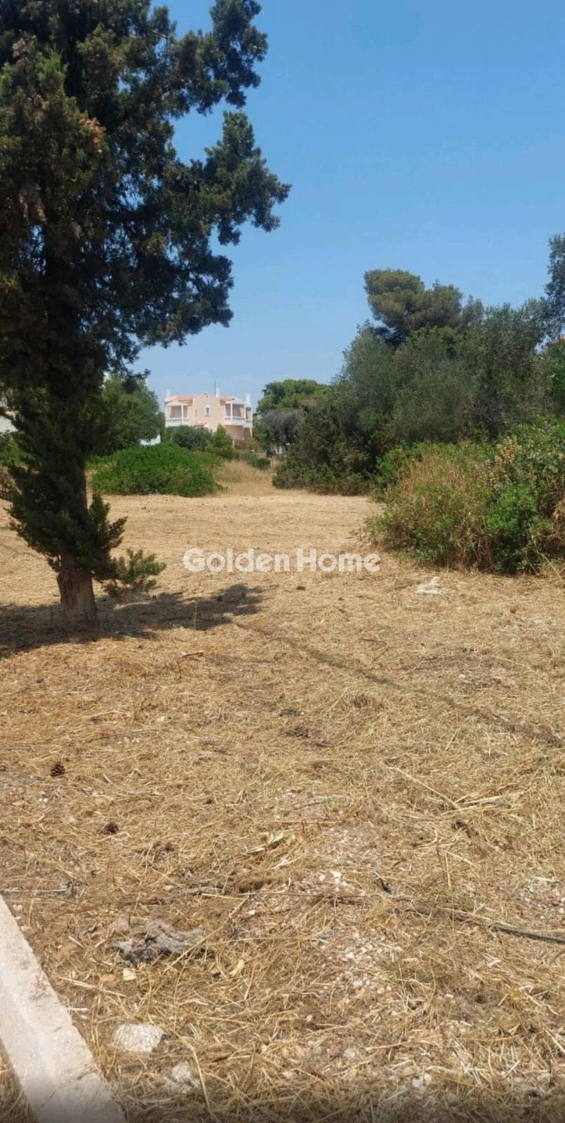 Αγροτεμάχιο στην Κάτω Ποσειδωνία, Λαύριο — Φωτογραφία 2 από 3