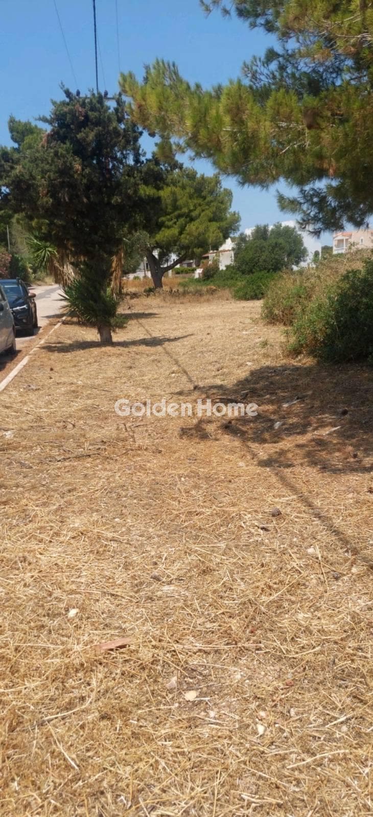 Αγροτεμάχιο στην Κάτω Ποσειδωνία, Λαύριο — Φωτογραφία 3 από 3