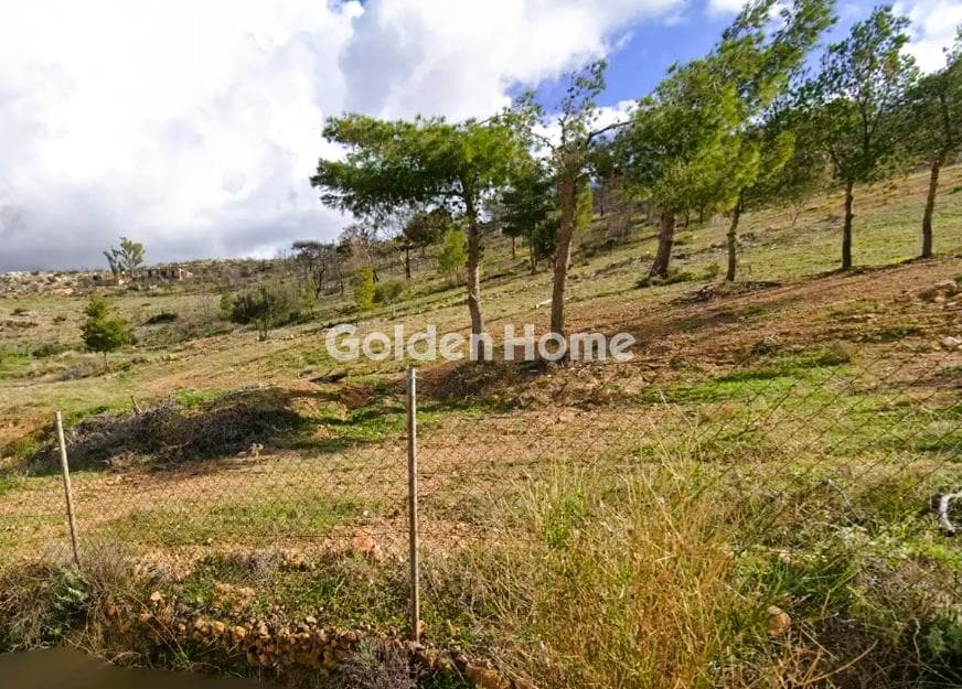Parcel in Galazia akti, Kalivia Thorikou — Photo 2 of 3