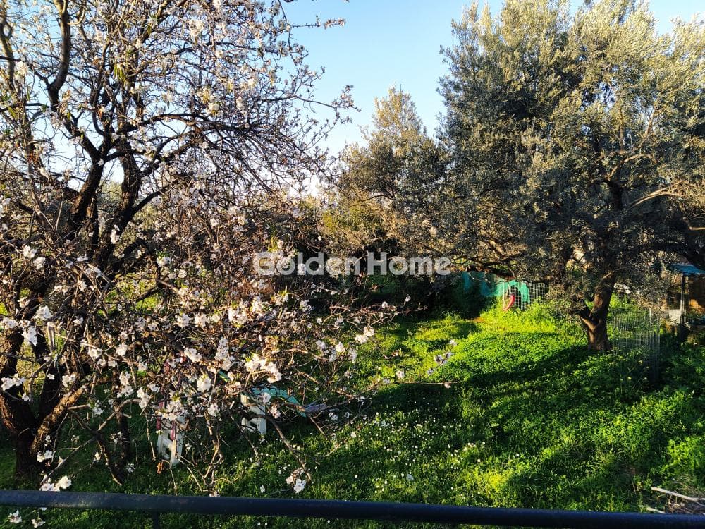 Μονοκατοικία στην Κέντρο, Μαρκόπουλο — Φωτογραφία 14 από 24