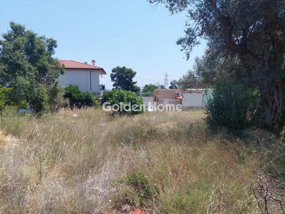 Building Plot in Centre, Glika Nera — Photo 3 of 4