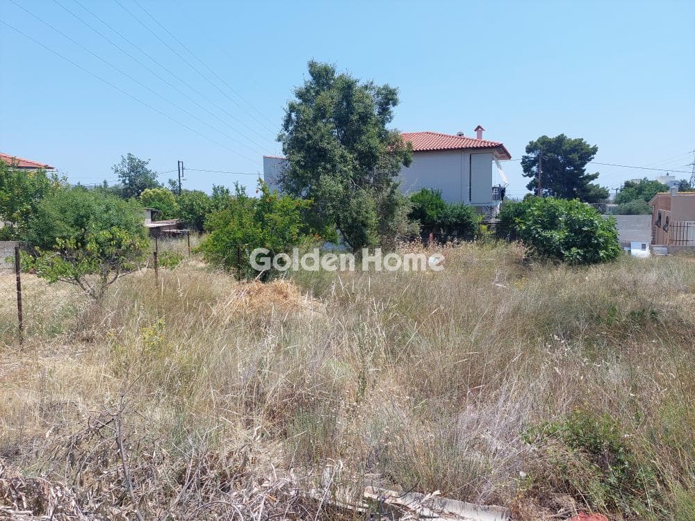 Building Plot in Centre, Glika Nera — Photo 2 of 4
