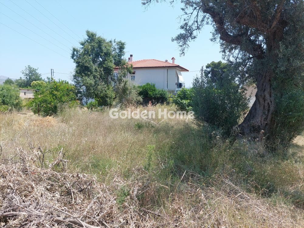 Building Plot in Centre, Glika Nera — Photo 4 of 4