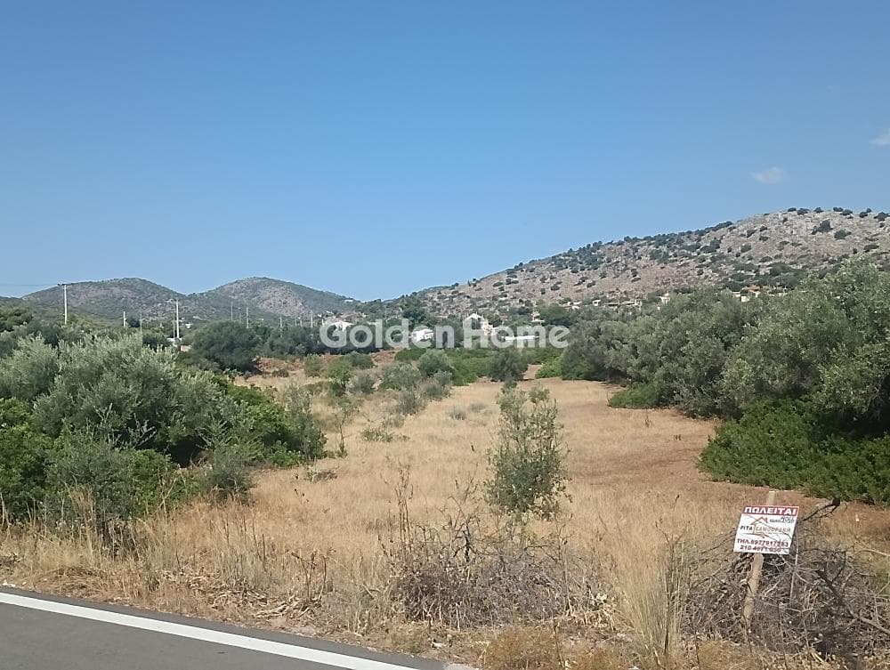 Building Plot in Selinia, Salamina — Photo 1 of 4