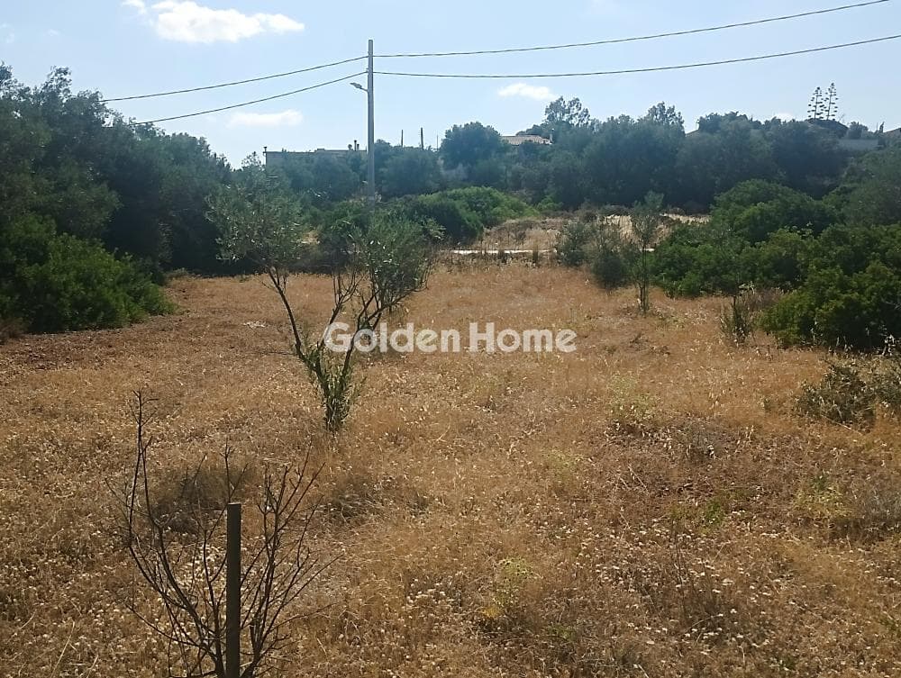 Building Plot in Selinia, Salamina — Photo 3 of 4