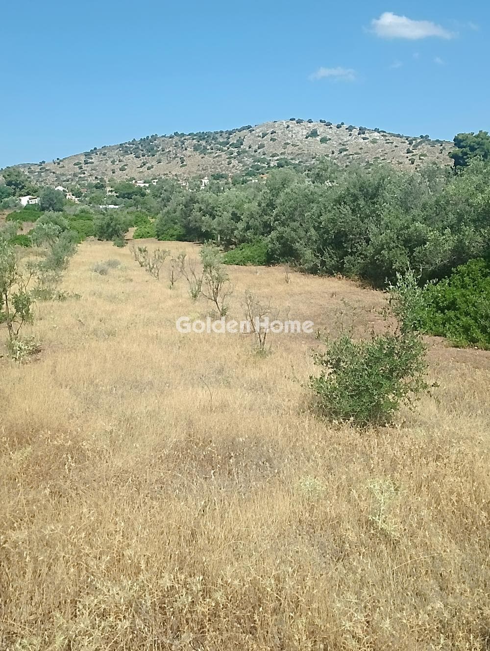 Building Plot in Selinia, Salamina — Photo 4 of 4