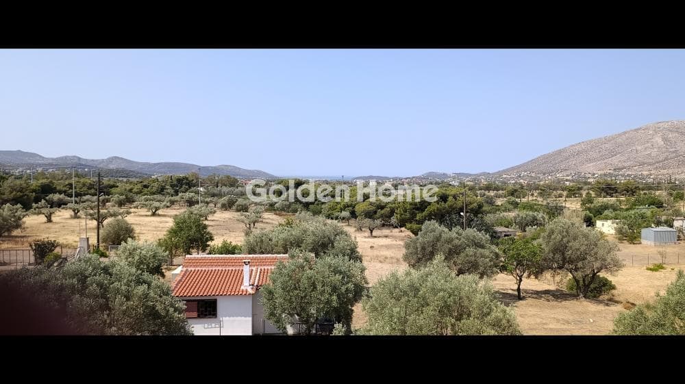 House in Ari, Anavissos — Photo 38 of 54