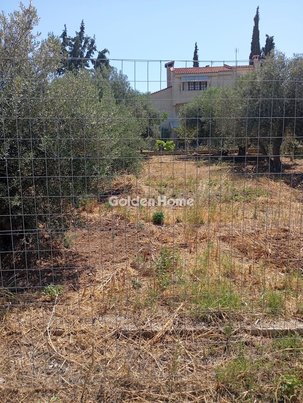 Οικόπεδο στην Κέντρο, Αρτέμιδα (Λούτσα) — Φωτογραφία 1 από 4