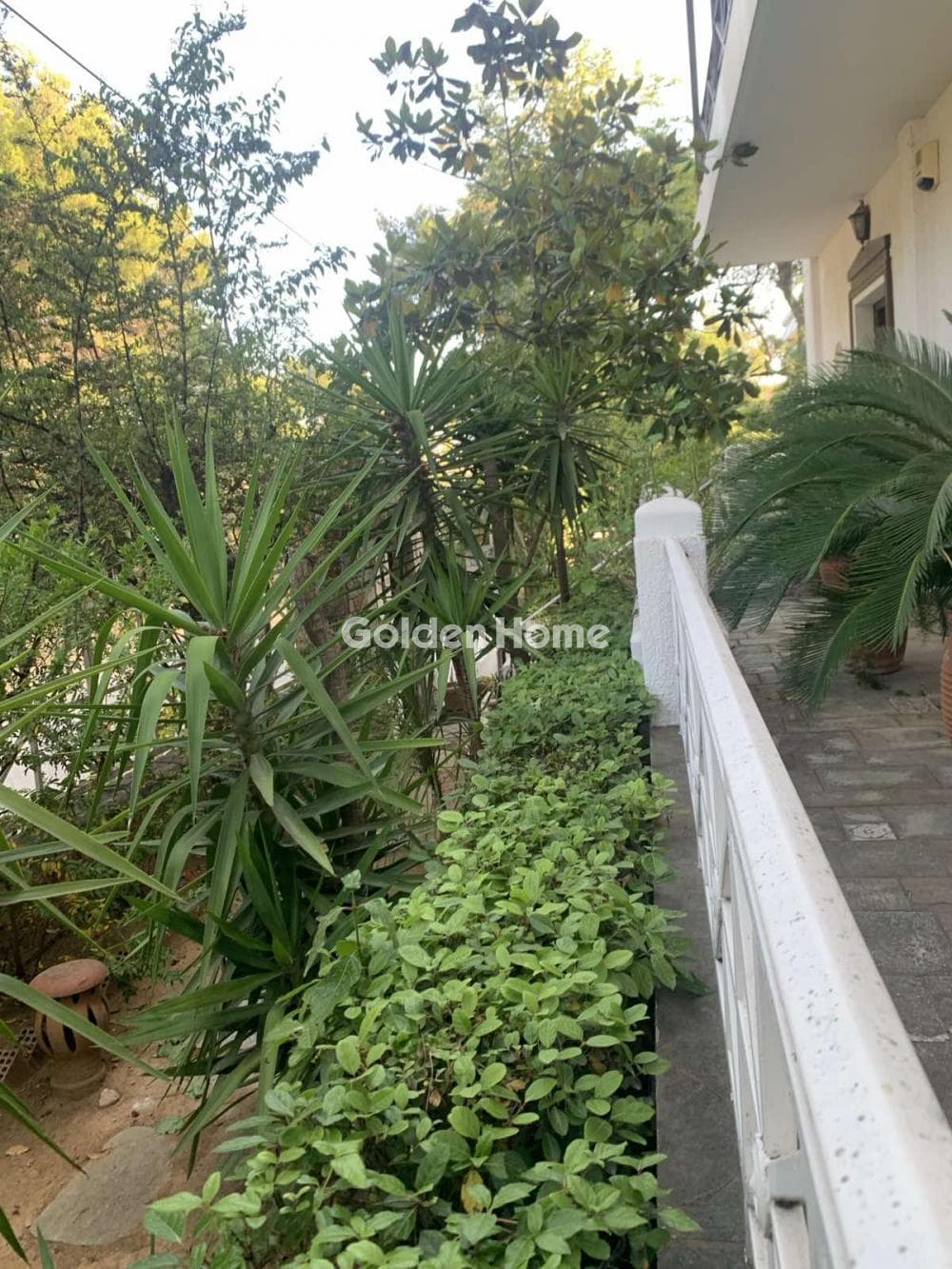 Apartment in Profitis Ilias, Nea Erithraia — Photo 8 of 37