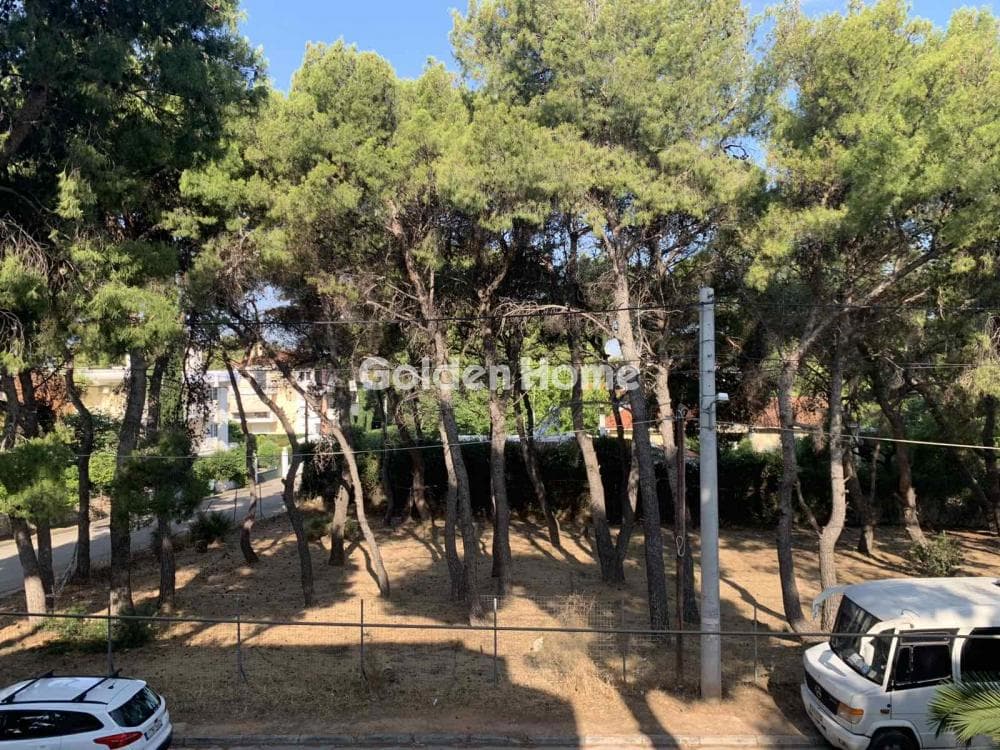 Apartment in Profitis Ilias, Nea Erithraia — Photo 35 of 37