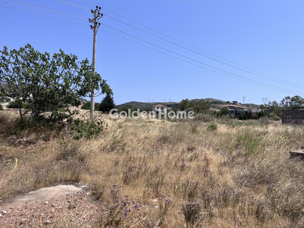 Parcel in Mitropisi, Keratea — Photo 5 of 7