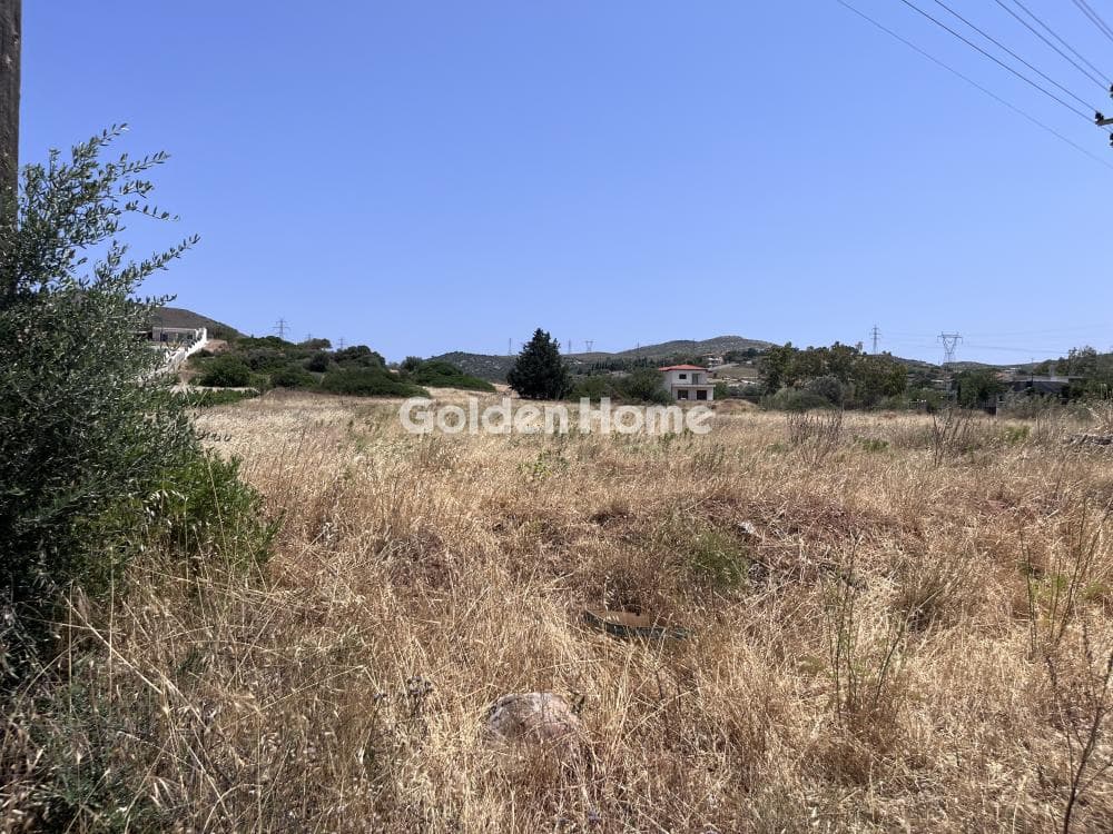 Parcel in Mitropisi, Keratea — Photo 6 of 7