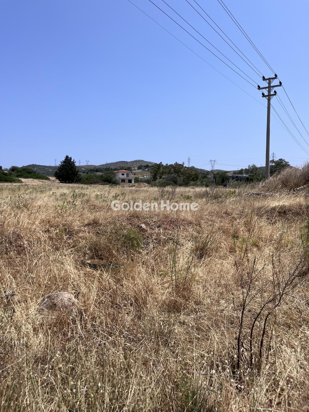Parcel in Mitropisi, Keratea — Photo 7 of 7