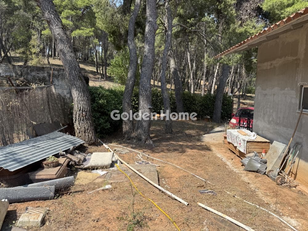 House in Fasideri, Anoixi — Photo 5 of 18