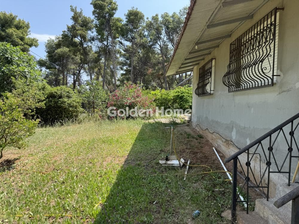 House in Fasideri, Anoixi — Photo 11 of 18