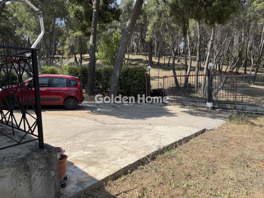 House in Fasideri, Anoixi — Photo 17 of 18