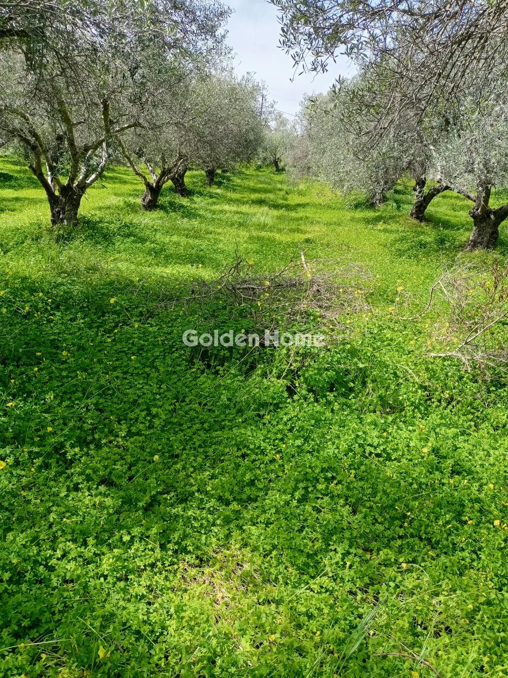 Parcel in Faneromeni, Moires