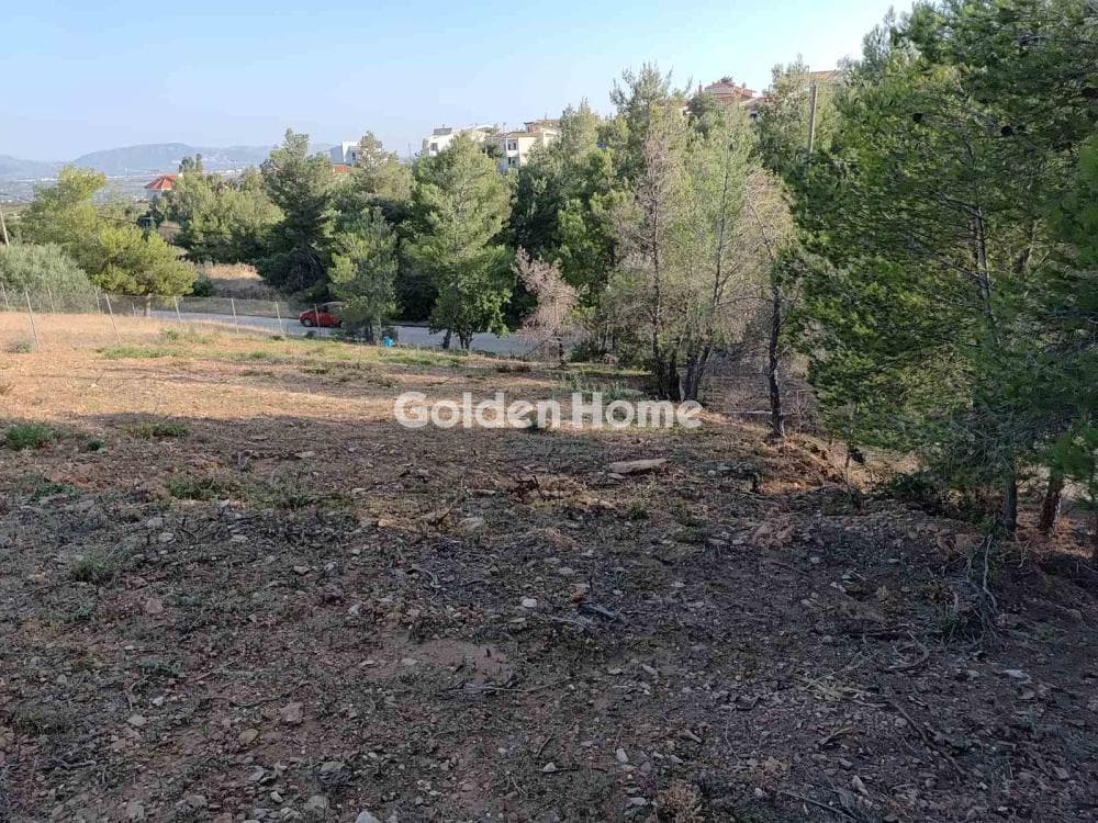 Οικόπεδο στην Δασαμάρι, Πικέρμι — Φωτογραφία 1 από 7