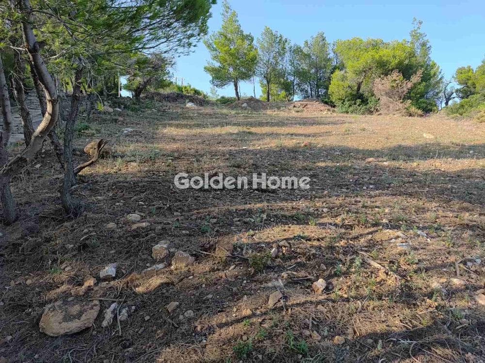 Οικόπεδο στην Δασαμάρι, Πικέρμι — Φωτογραφία 2 από 7