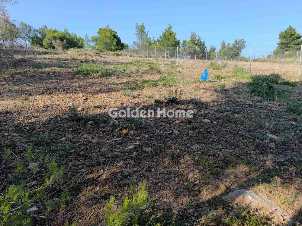 Οικόπεδο στην Δασαμάρι, Πικέρμι — Φωτογραφία 6 από 7
