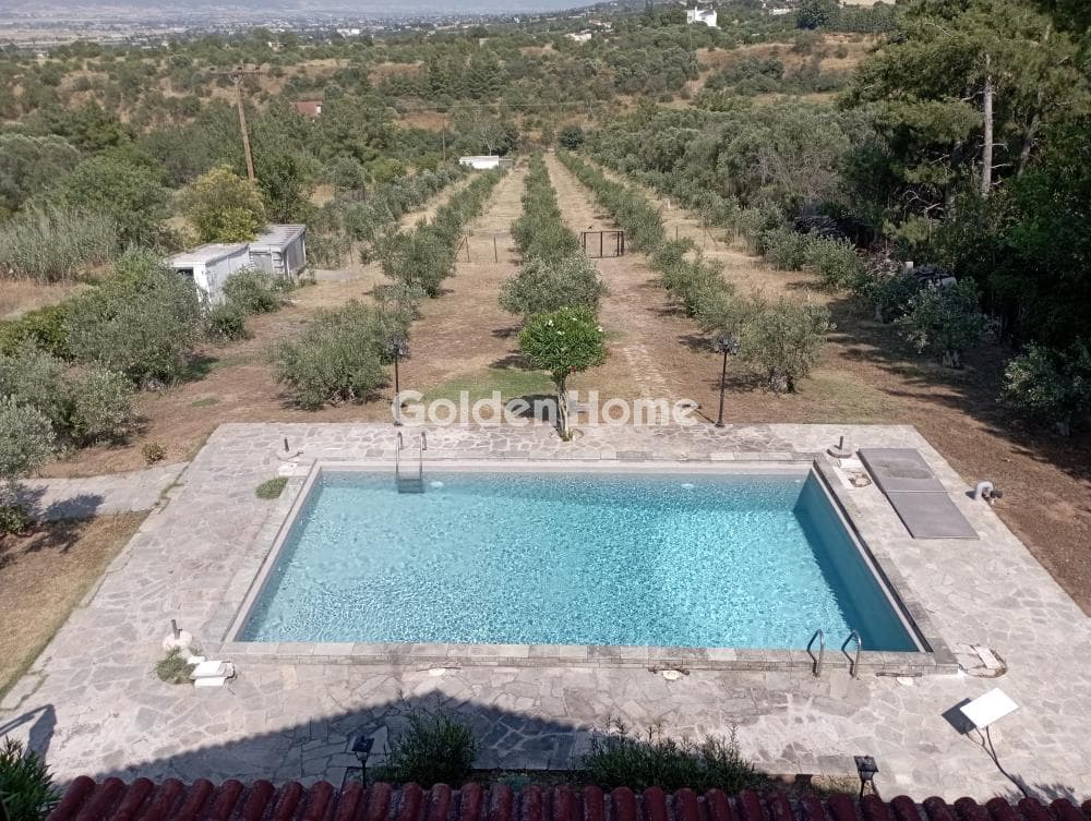 House in Peraia, Peraia — Photo 2 of 19