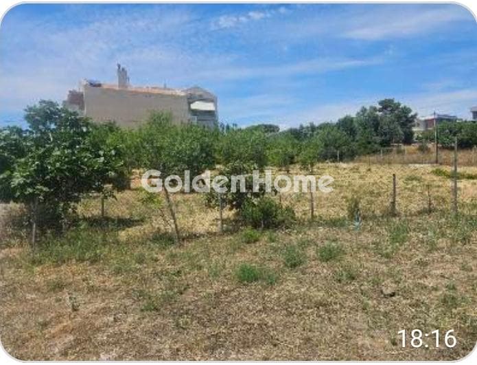 Building Plot in Kato Charvati, Pallini — Photo 3 of 3