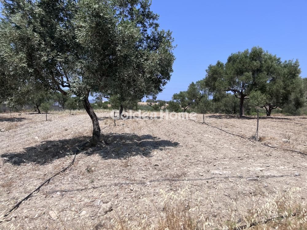 House in Manoutso, Keratea — Photo 10 of 10
