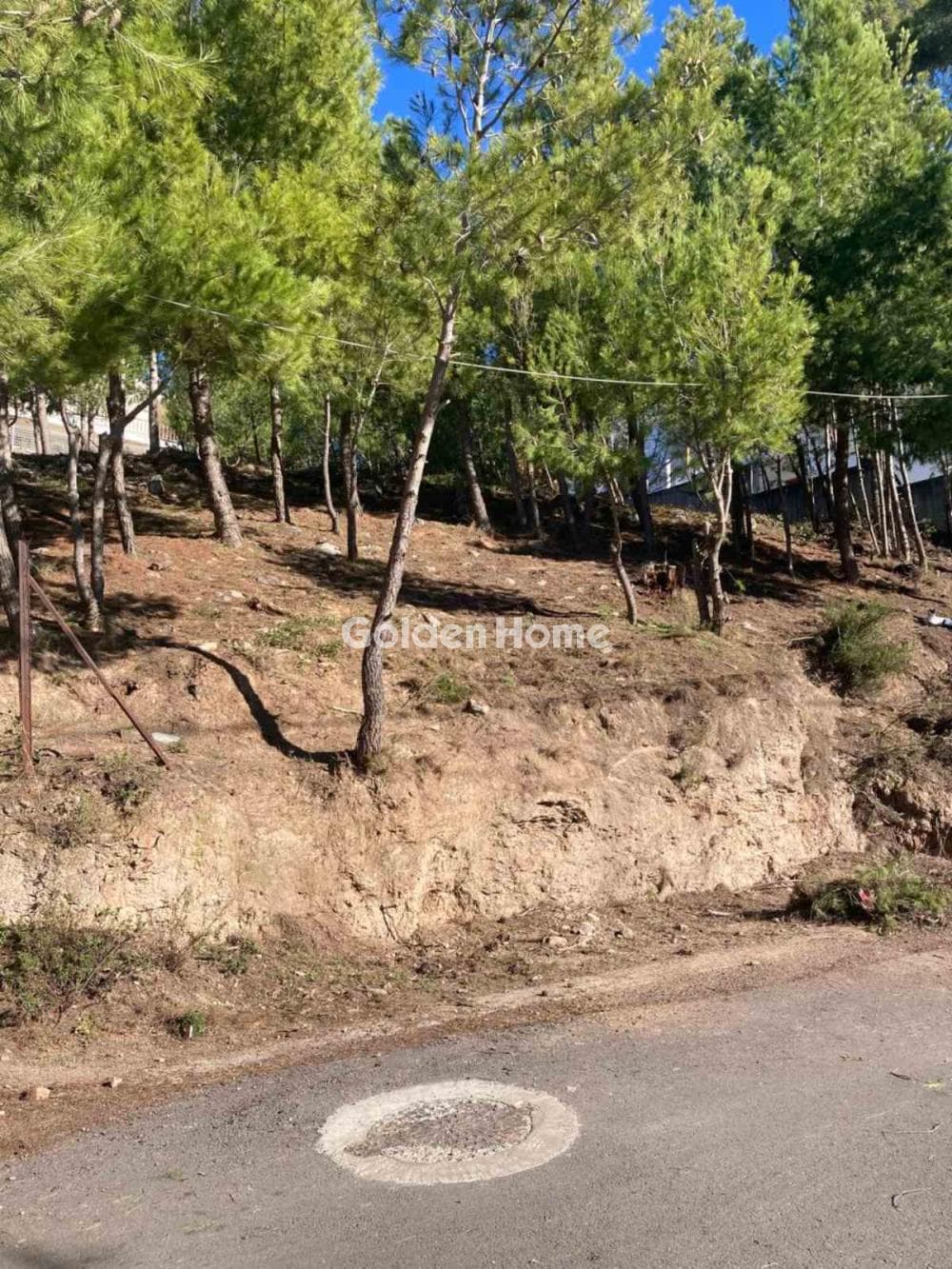 Building Plot in Rodopoli, Rodopoli — Photo 3 of 3